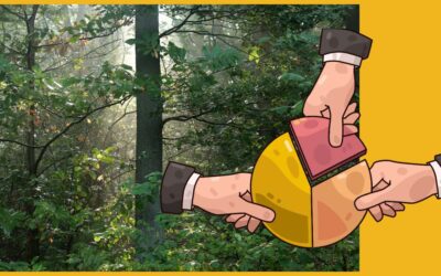 C’est quoi un groupement forestier ?