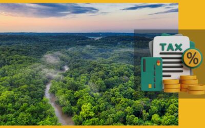 Quelle est la fiscalité d’un groupement forestier en 2026 ?