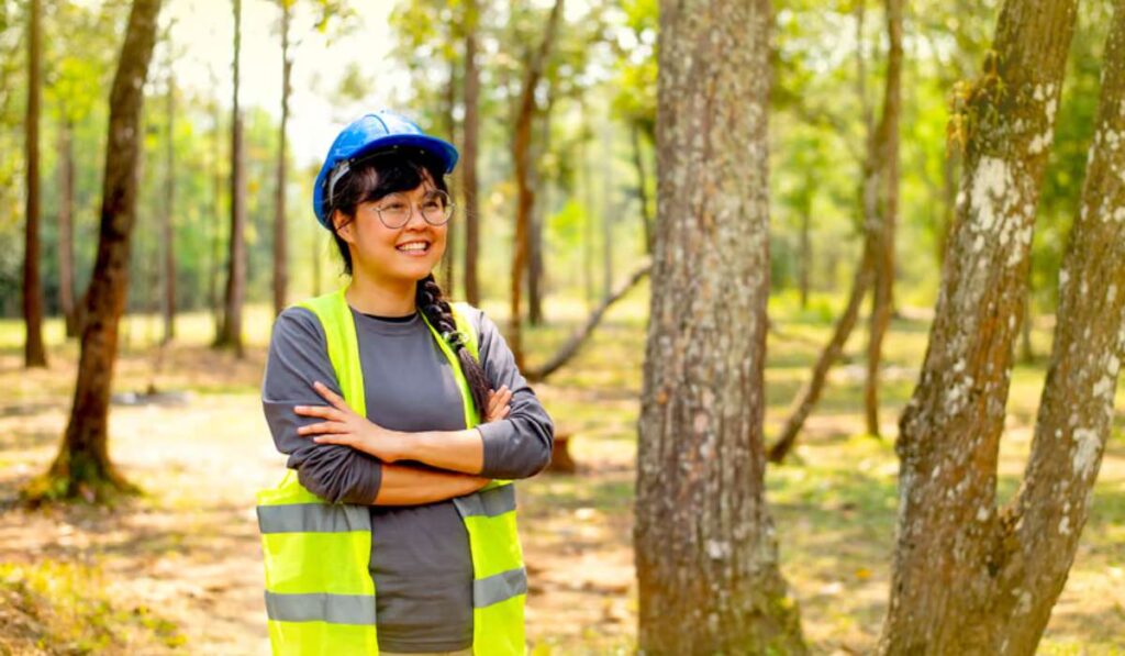 Acheter de la forêt direct ou via un groupement forestier ?