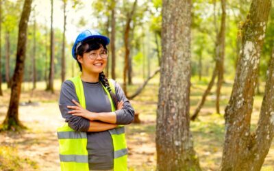 Acheter de la forêt direct ou via un groupement forestier ?