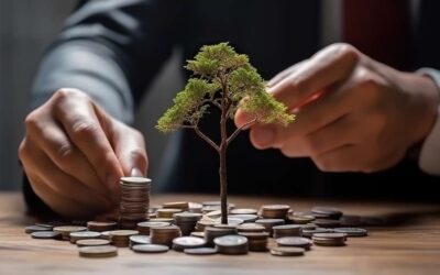 GFI ou GFF : lequel choisir pour investir dans la forêt ?