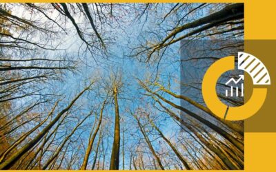 Le GFI (Groupement Forestier d’Investissement), l’investissement bois-papier en 2026