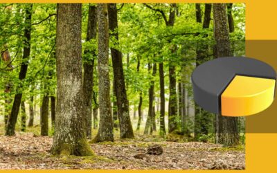 Investir dans la forêt en 2026 avec un Groupement Foncier Forestier