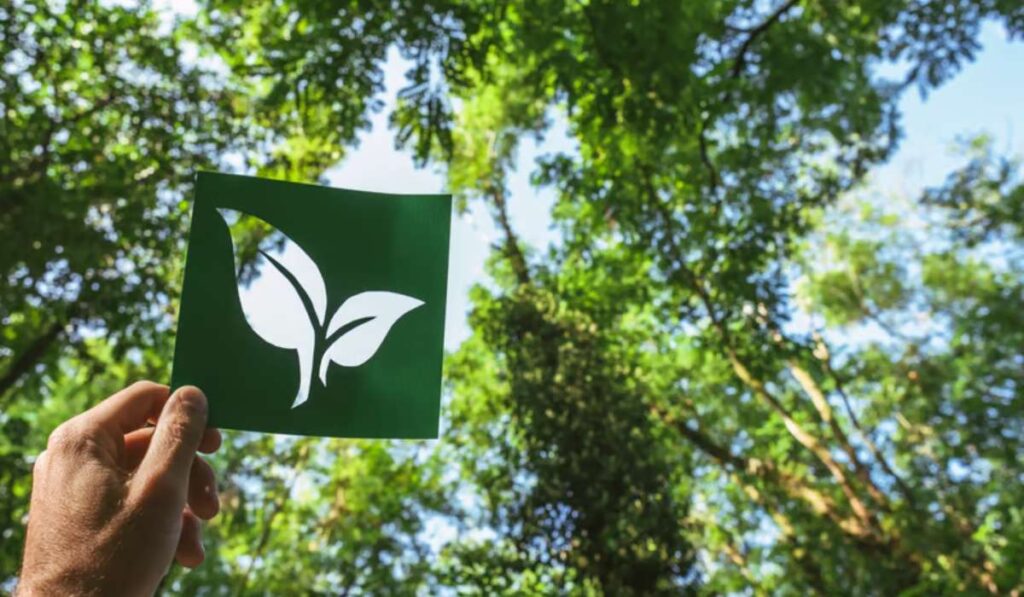 Comment repérer les vrai labels des GFI forêt du greenwashing ?