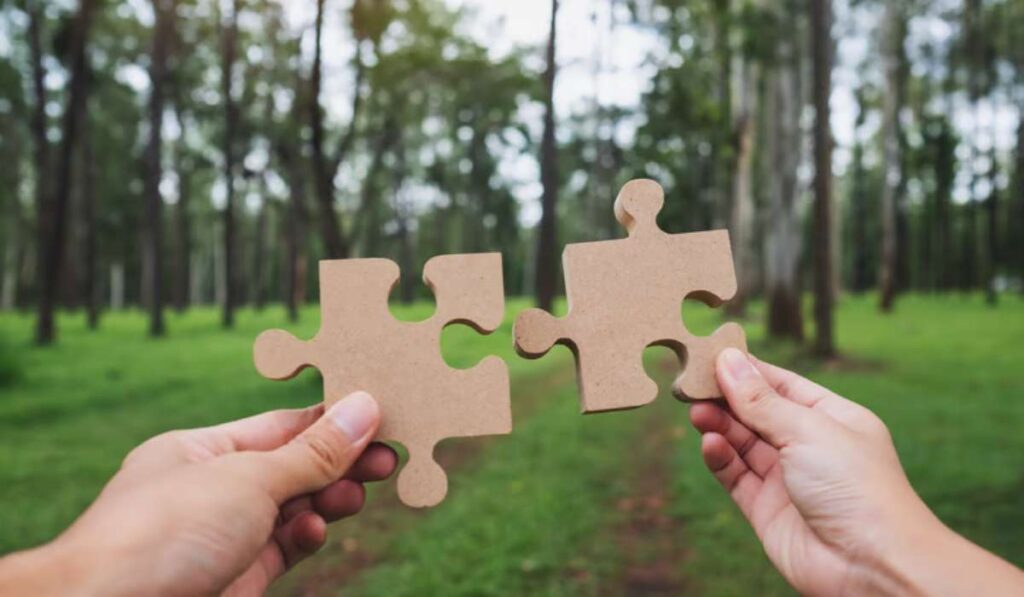 Parts de groupement forestier : faut-il vraiment y investir ?