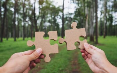 Parts de groupement forestier : faut-il vraiment y investir ?