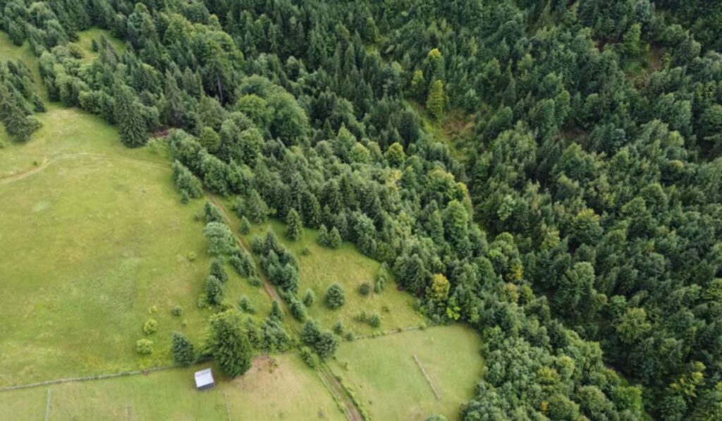 Peut-on facilement revendre ses parts de groupement forestier ?