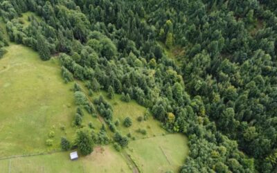 Peut-on facilement revendre ses parts de groupement forestier ?