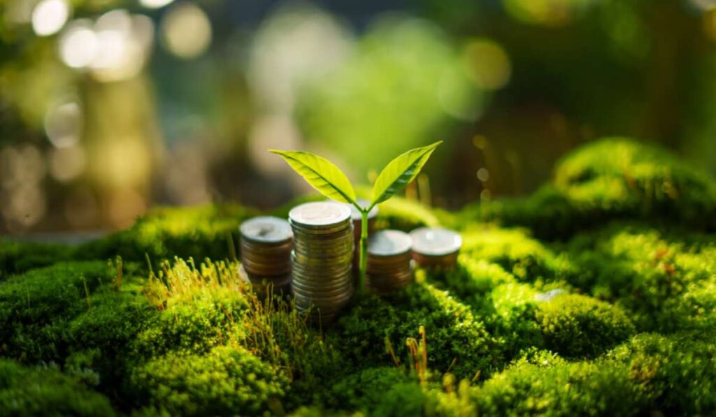 Combien vaut vraiment une part de groupement forestier ?