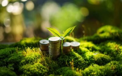 Combien vaut vraiment une part de groupement forestier ?